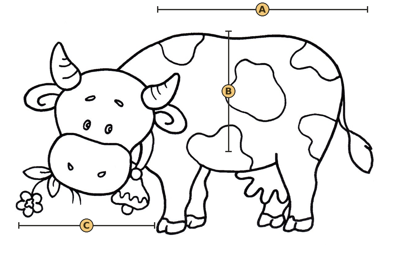 A cow line drawing used as the cardboard cut guide, with three lettered measurement points, A, B, and C, measured in the key below the diagram.